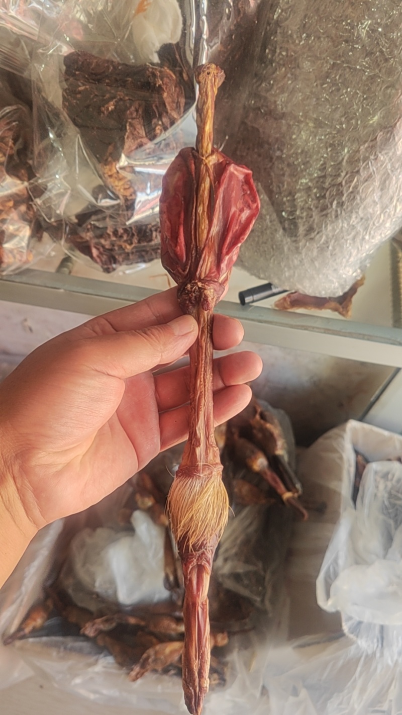鹿鞭干货鹿鞭中药材！欢迎选购！