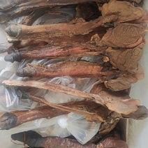 驴鞭干货地产驴鞭欢迎选购！量大从优！
