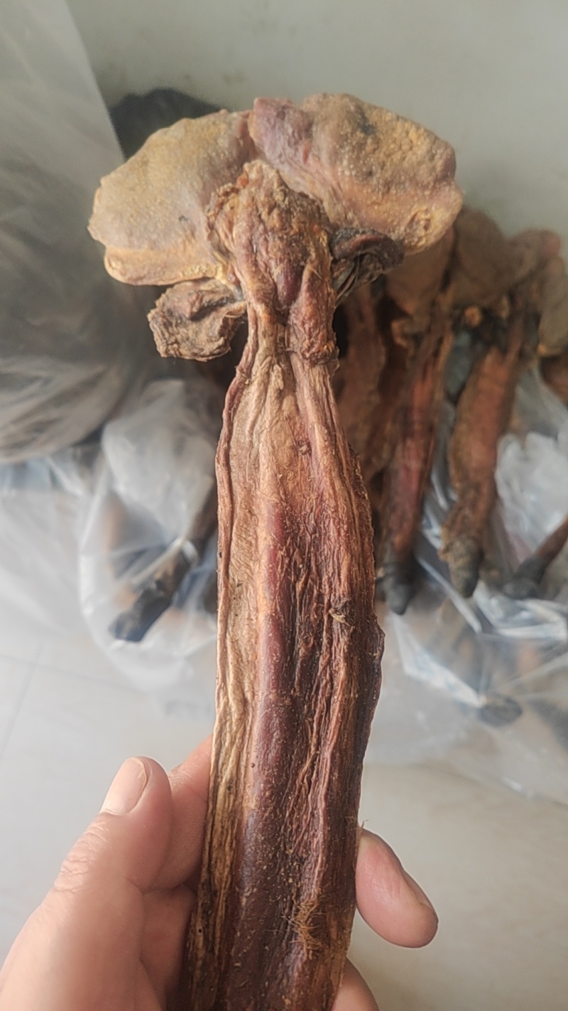 驴鞭干货地产驴鞭欢迎选购！量大从优！