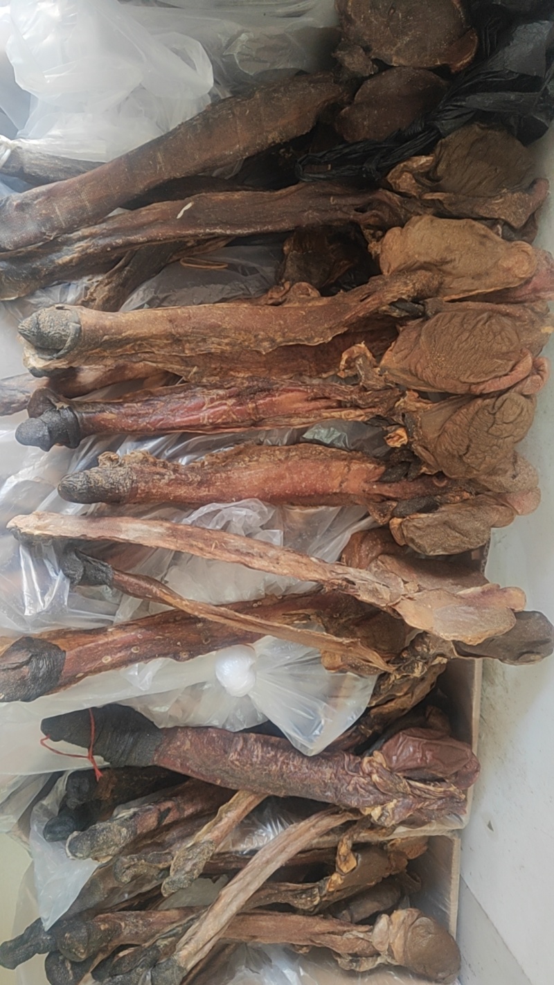 驴鞭干货地产驴鞭欢迎选购！量大从优！