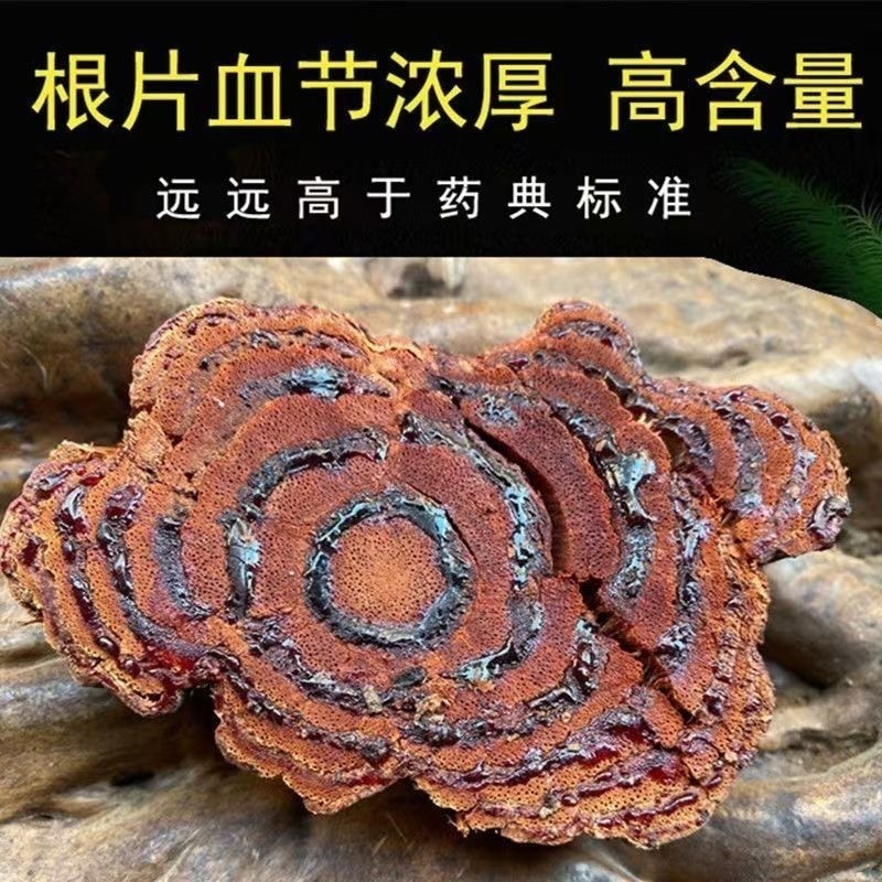 正宗进口鸡血藤30年深山老藤国产鸡血藤批发零售正品