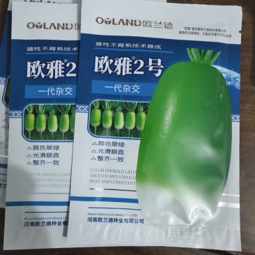 青萝卜种子
