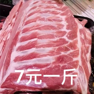 排骨