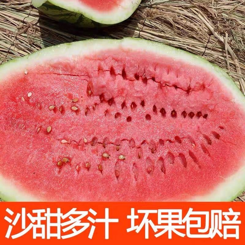 金花1号西瓜，产区直发，大量有货，当天采摘