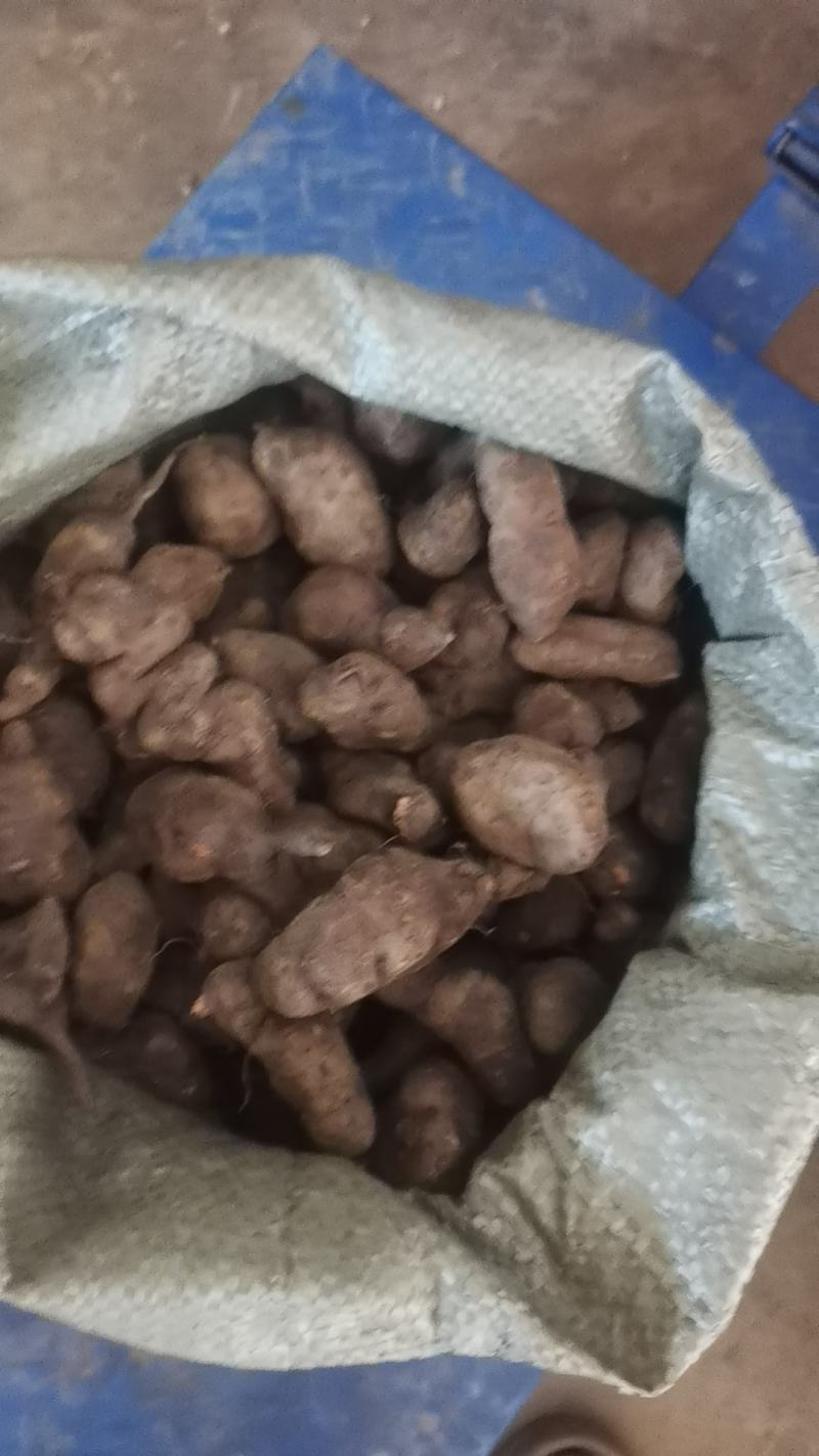 精品三叶青大果绿色***。量大从优欢迎采购