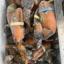 冷冻鲜活现摘波龙钳