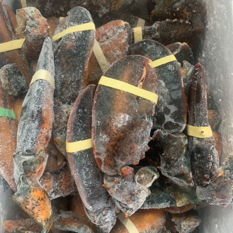 冷冻鲜活现摘波龙钳