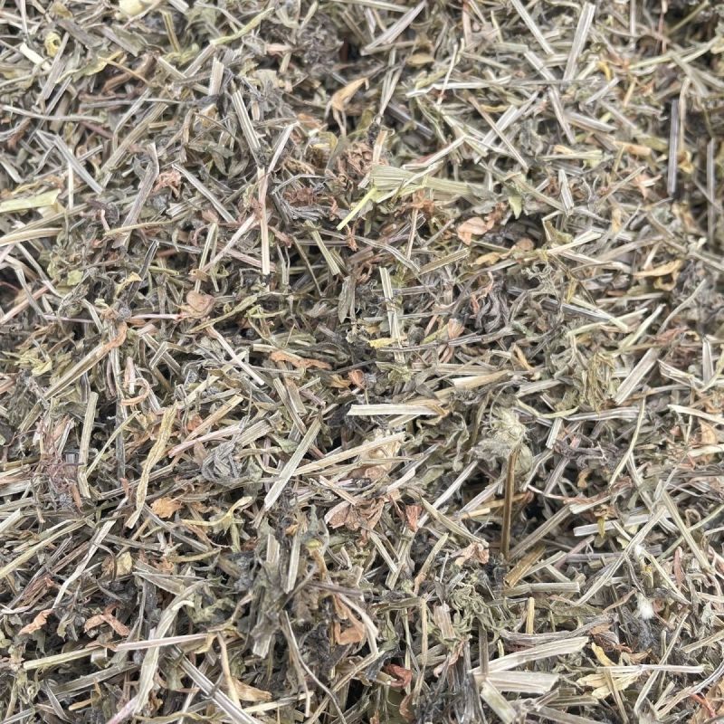 猪秧秧八仙草猪秧拉拉藤锯子草锯耳草
