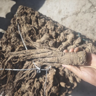 岷县无硫全归个子