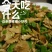 【顺丰包邮】新鲜正宗白参菌现摘现发养生火锅食用菌煲汤炖鸡蛋