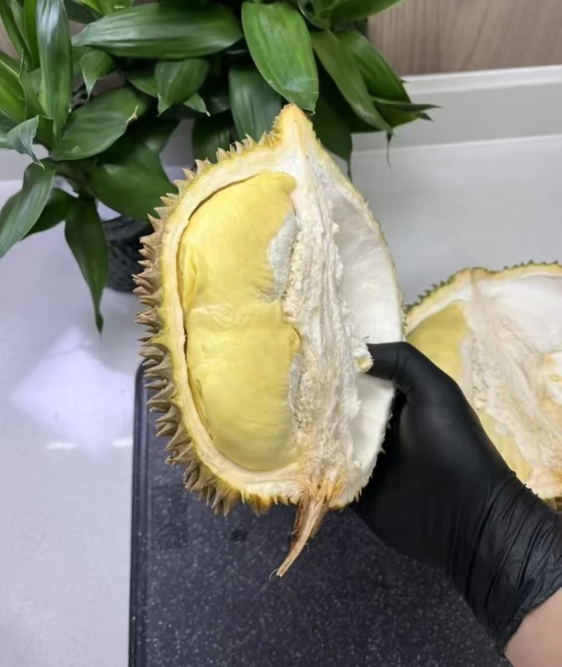 金枕榴莲一手批发市场