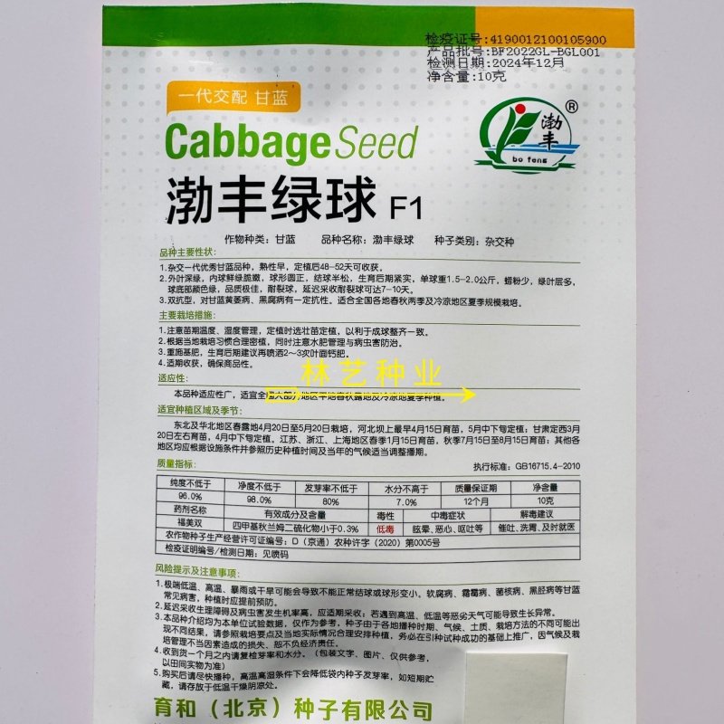 渤丰绿球甘蓝种子杂交一代绿甘蓝卷心菜种子耐裂球包头菜种子