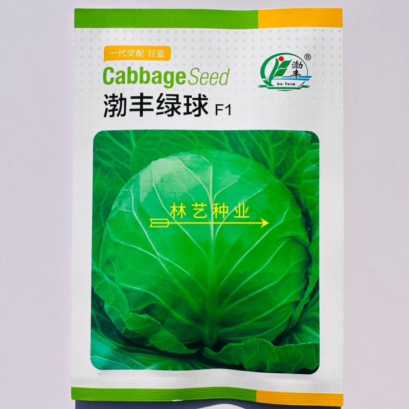 渤丰绿球甘蓝种子杂交一代绿甘蓝卷心菜种子耐裂球包头菜种子
