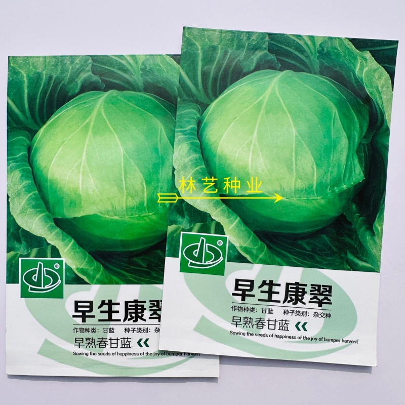 早生康翠甘蓝种子三季甘蓝种籽耐裂耐热耐运输结球甘蓝种子