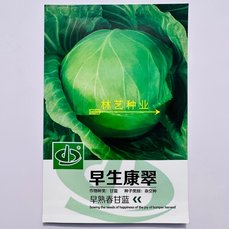 早生康翠甘蓝种子三季甘蓝种籽耐裂耐热耐运输结球甘蓝种子
