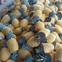 芒果凤梨