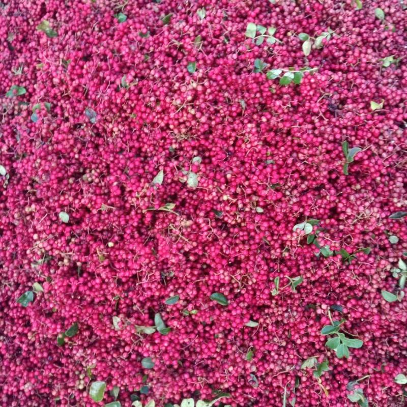 花椒