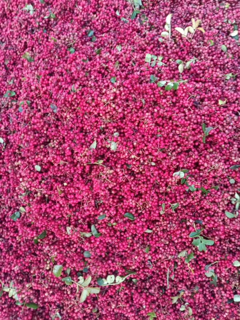 花椒