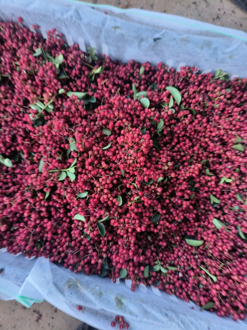 花椒