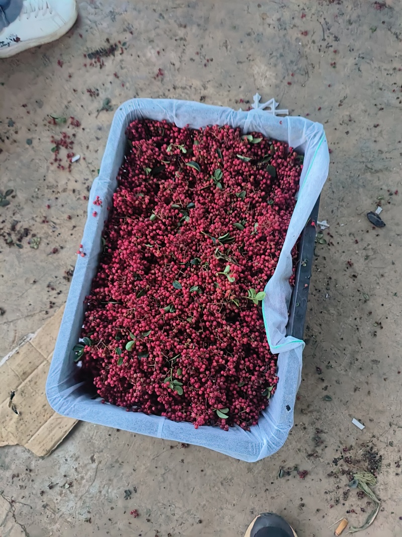 花椒