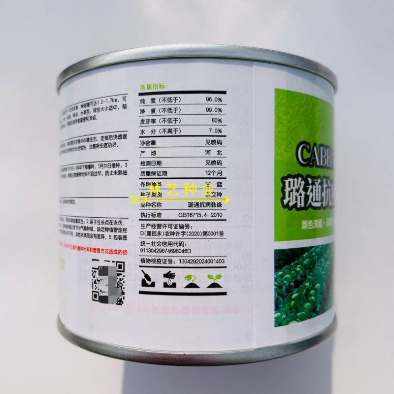 璐通抗病韩绿甘蓝种子耐热菜子包菜卷心菜高产蔬菜种籽包心菜