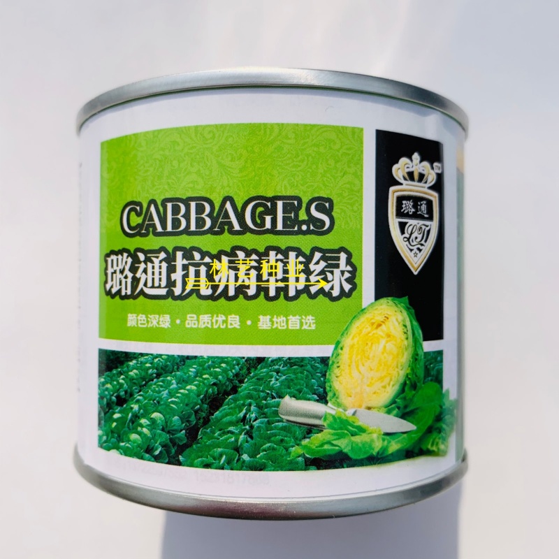 璐通抗病韩绿甘蓝种子耐热菜子包菜卷心菜高产蔬菜种籽包心菜