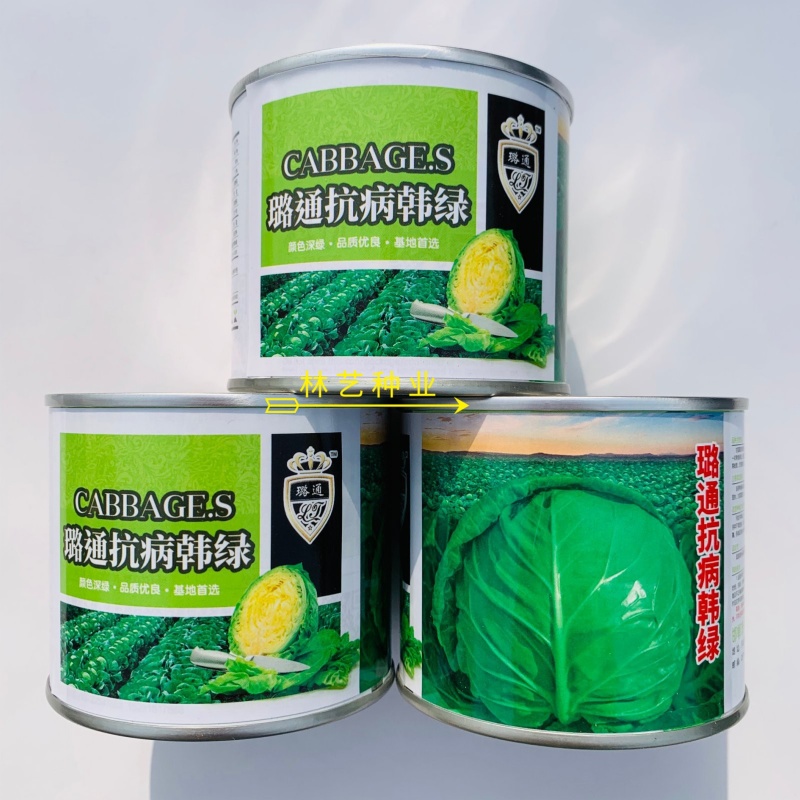 璐通抗病韩绿甘蓝种子耐热菜子包菜卷心菜高产蔬菜种籽包心菜