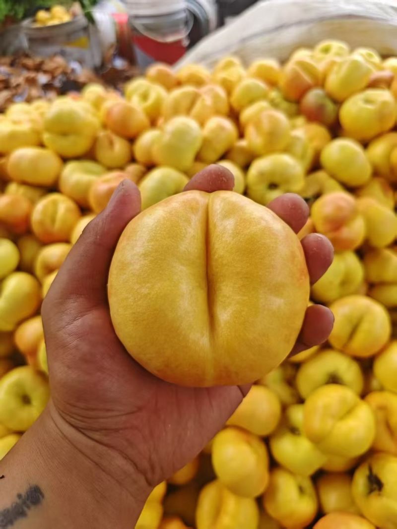 油盘七大量现货