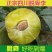 四川脱骨李半边红李子茵红李清脆李脆红李