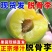 四川脱骨李半边红李子茵红李清脆李脆红李