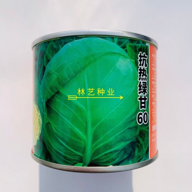抗热绿甘60甘蓝种子耐热绿甘蓝包心菜圆白菜籽春夏秋播蔬菜