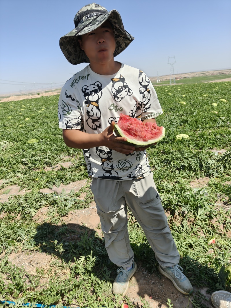 【实力供货】宁夏硒砂瓜石头瓜清甜可口对接全国量大从优热卖