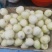 东北小白甜瓜，一手货源，量大从优，可视频看货，诚信经营