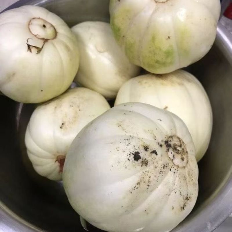 东北小白甜瓜，一手货源，量大从优，可视频看货，诚信经营
