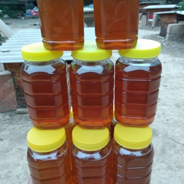 【平台推荐】蜂蜜，纯正百花蜂蜜。自家养殖***