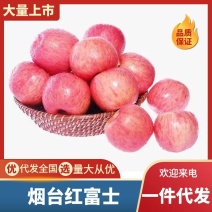 烟台红富士苹果脆甜爽口支持直播电商等各大平台代发