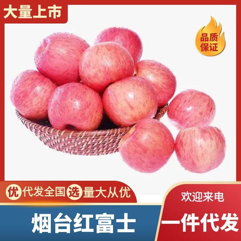 烟台红富士苹果脆甜爽口支持直播电商等各大平台代发