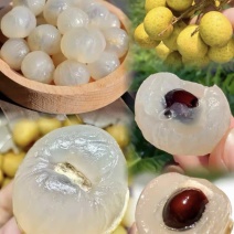 储良龙眼福建广东诏安现摘现发👌欢迎合作🤝