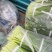 江苏韭菜苔韮苔基地直发保质保量大量现货对接商超电商团购