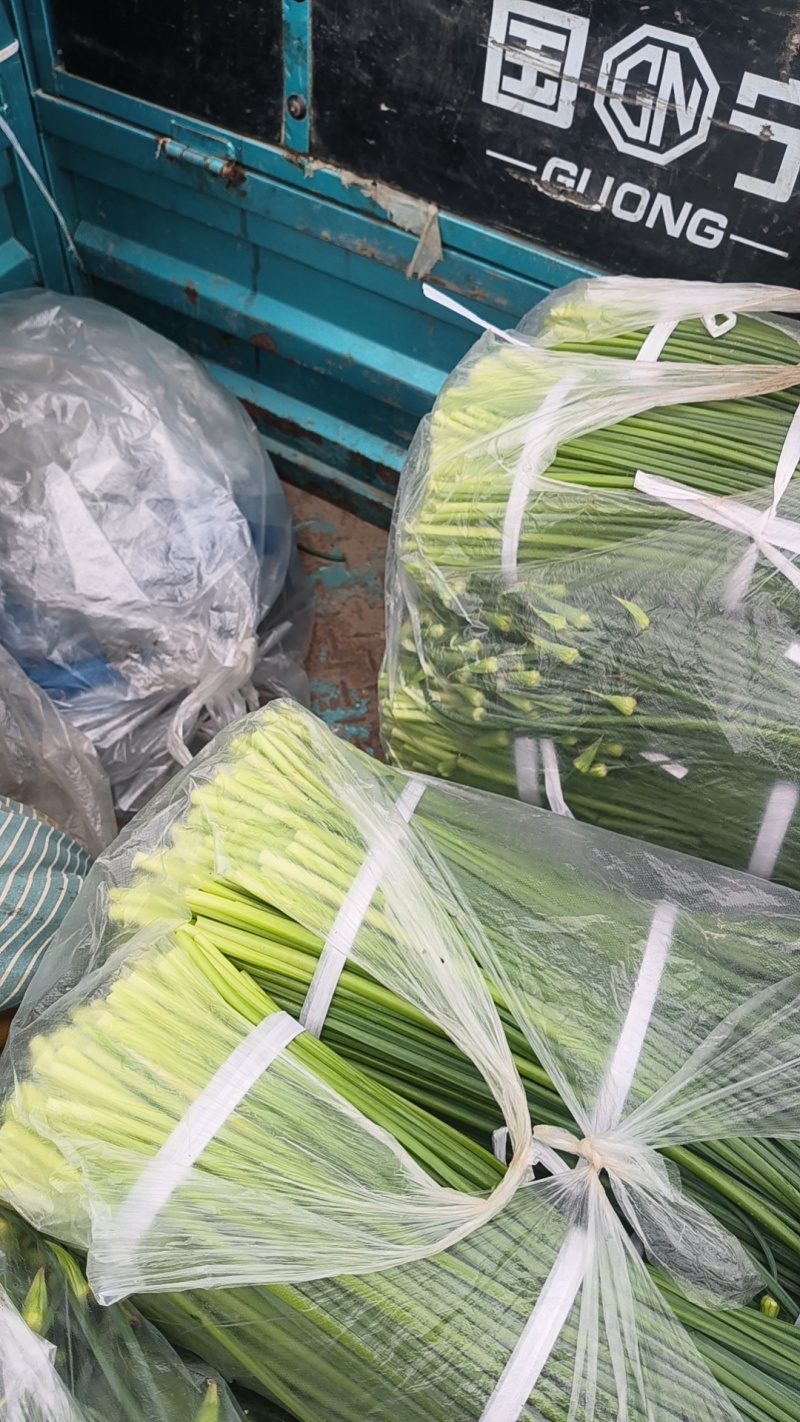 江苏韭菜苔韮苔基地直发保质保量大量现货对接商超电商团购
