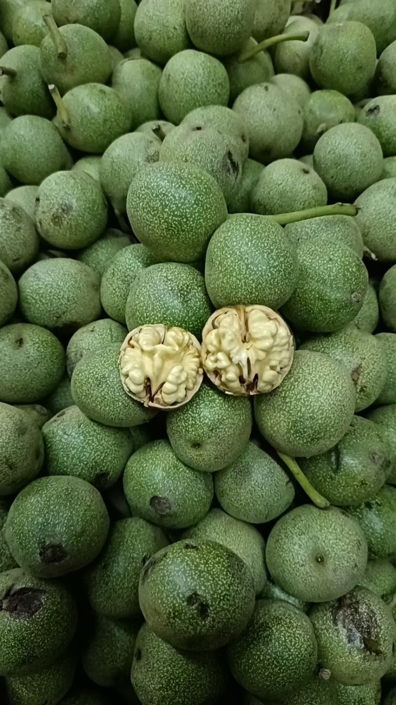石家庄去皮新鲜核桃，皮薄，仁饱满。口干好。
