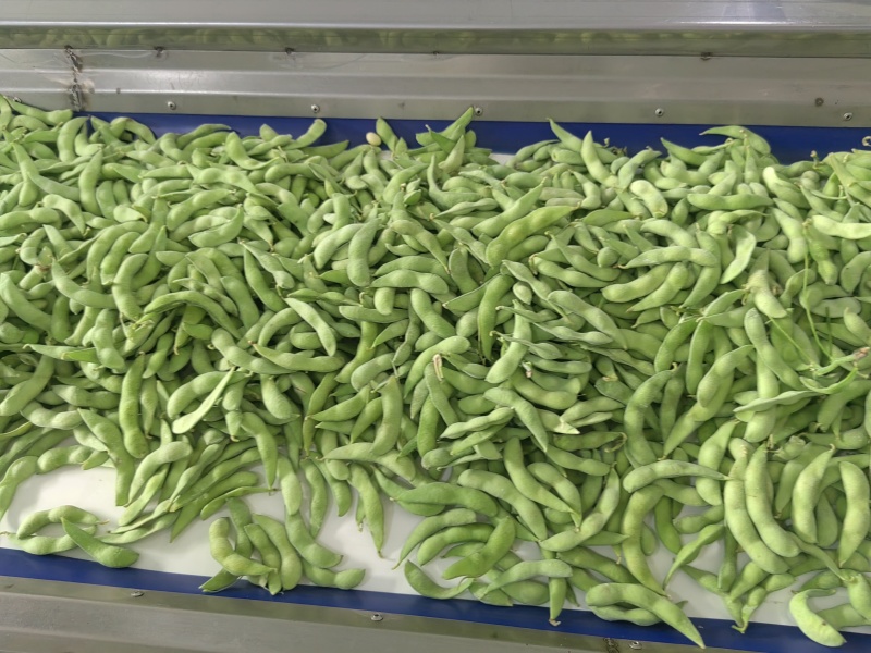 速冻精品毛豆，