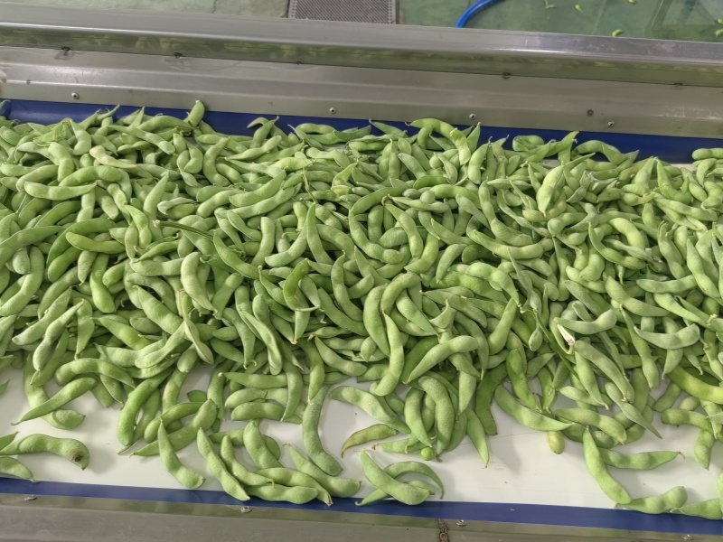 毛豆