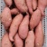 精品烟薯大量上市品质保证量大从优一手货源欢迎