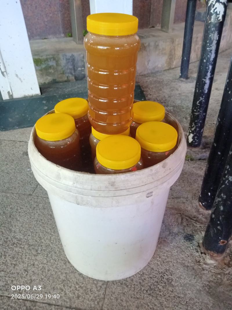 ***土蜂蜜