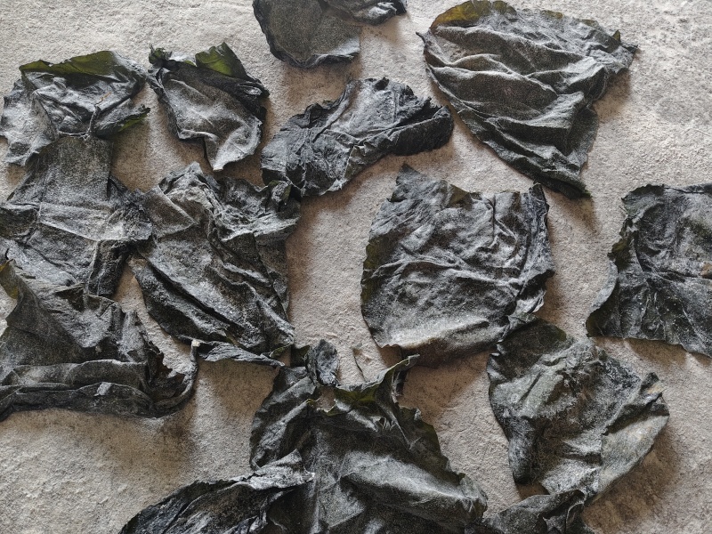 半干海带头，干度好，微瑕疵厚度一般食堂饭馆自用性价比高！