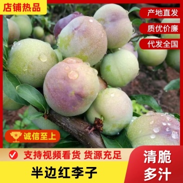 脆红李，半边红李子，小脆红李子