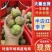 脆红李，半边红李子，小脆红李子