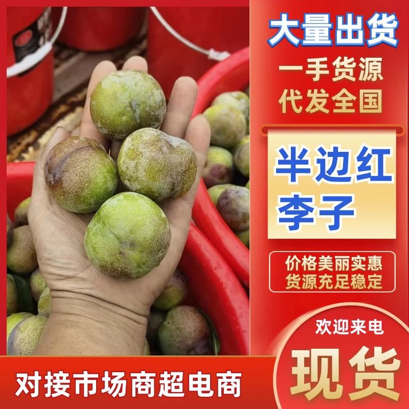 脆红李，半边红李子，小脆红李子
