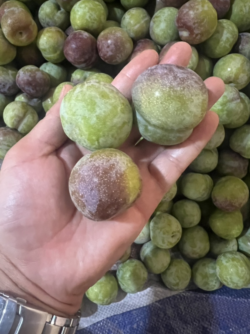 脆红李，半边红李子，小脆红李子